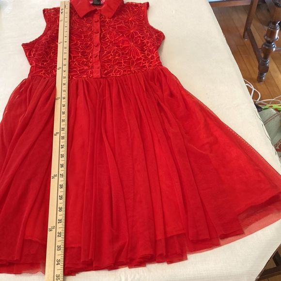 Say What? Dress Red Sleeveless Lace Stain Chiffon Fit and Flair Holiday Dress - Picture 15 of 16